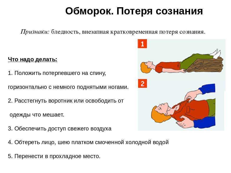 Собака упала в обморок - причины, что делать, как помочь | наши лучшие друзья