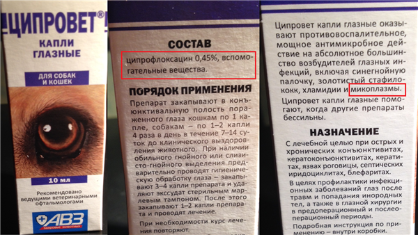 Офтальмоферон. инструкция по применению. справочник лекарств, медикаментов, бад