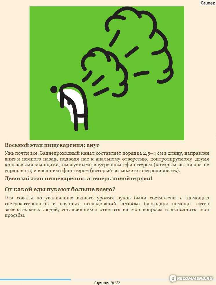 Эспумизан для собак: как применять - prohvost