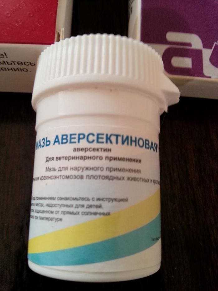 Следуйте инструкции применяя аверсектиновую мазь для собак! подробно о препарате