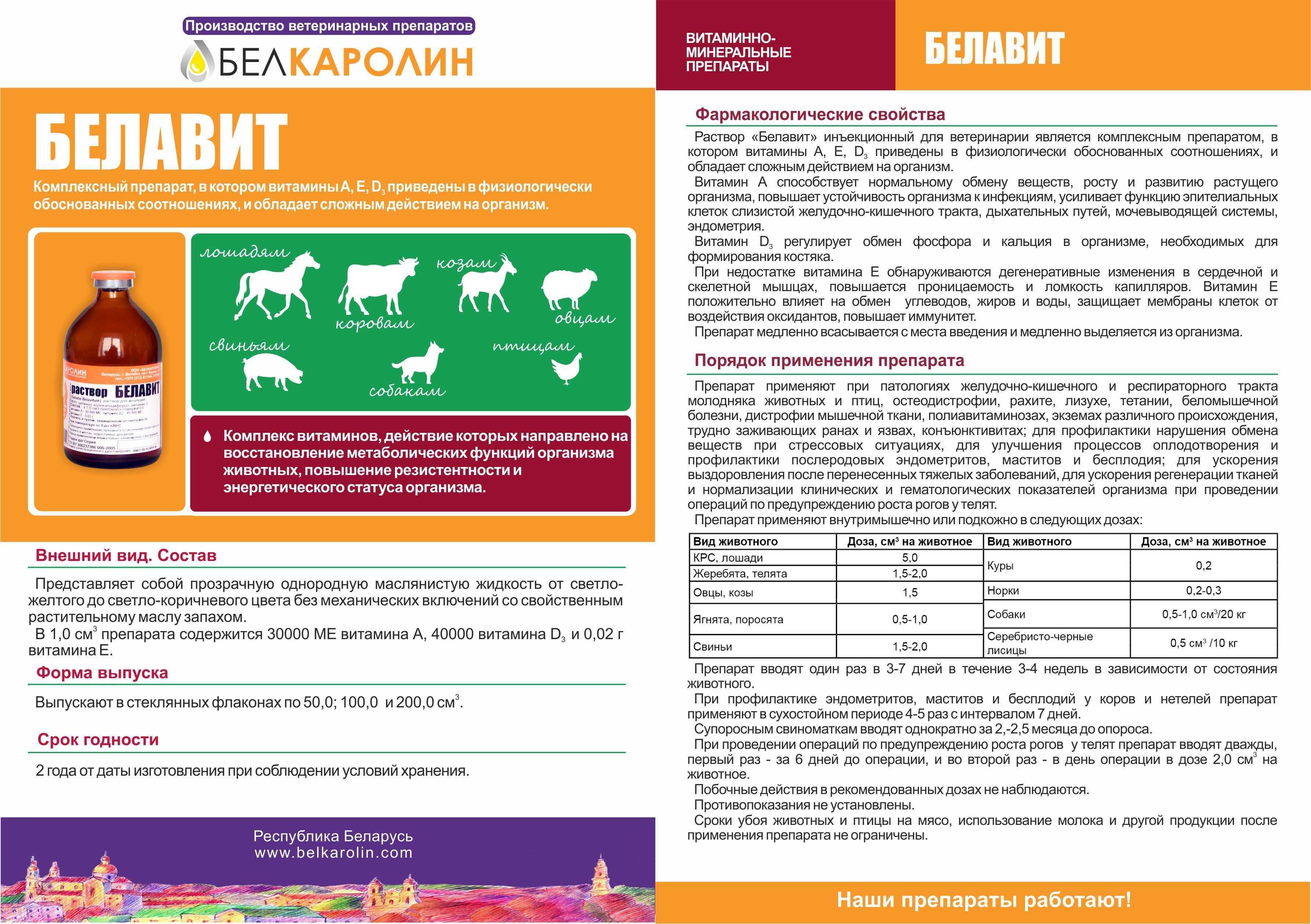 Витам для кошек: инструкция по применению и отзывы