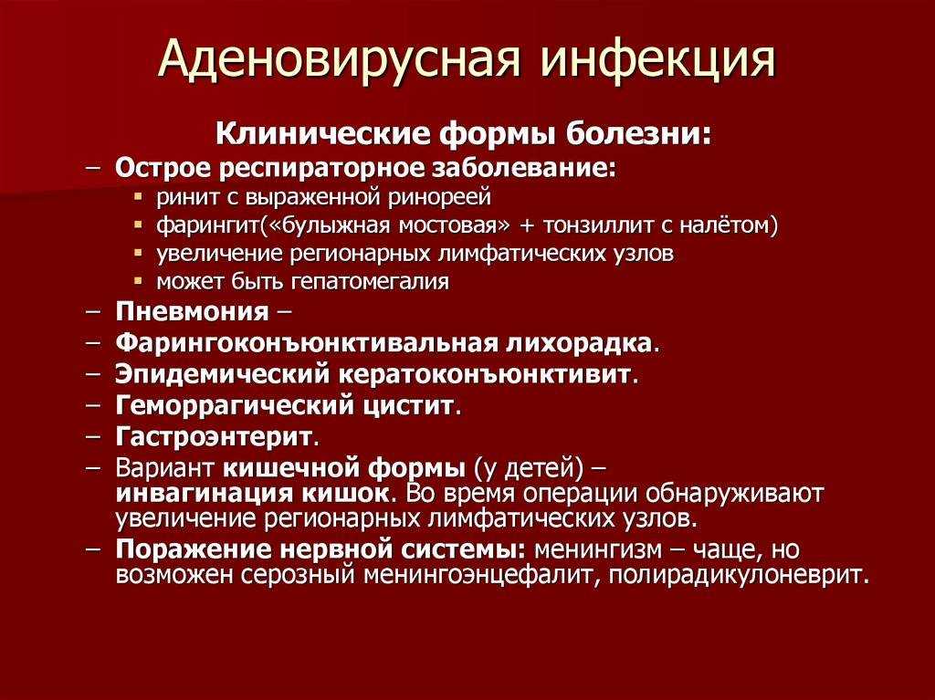 Аденовирус у собак и щенков: 2 вида инфекции, симптомы и лечение аденовироза у собак, прогнозы для заболевшего, профилактика заражений
