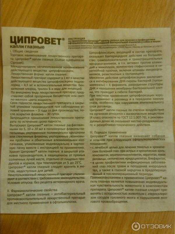 Препарат дексафорт для животных: инструкция по применению