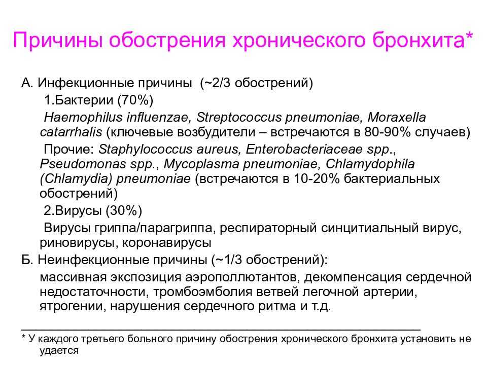 Бронхит у собак: причины возникновения и методы лечения