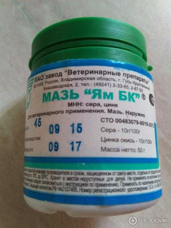 Чем лечить лишай у кошки