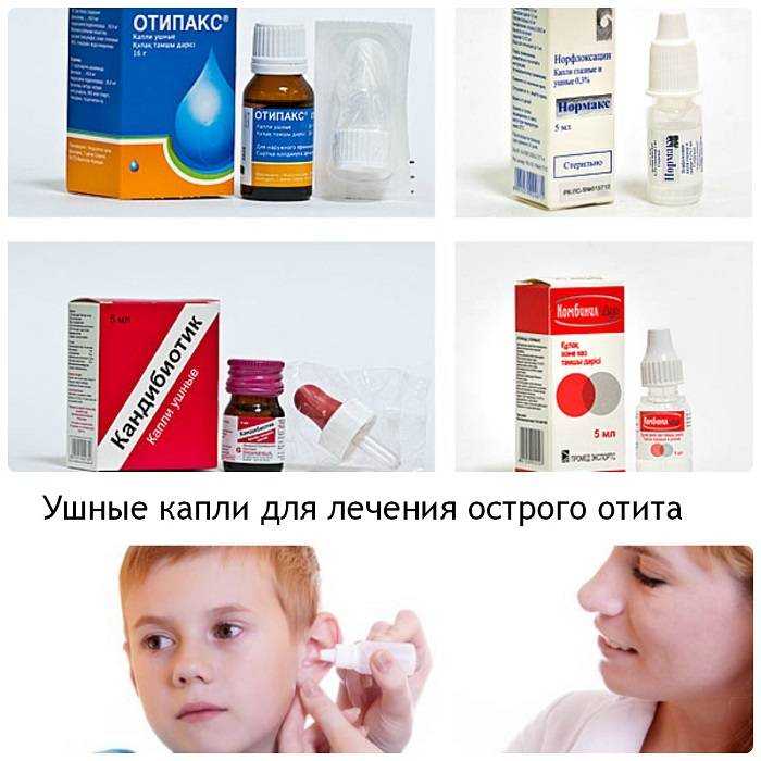 Ушной клещ (отодектоз) у кошек и котов | важно знать!