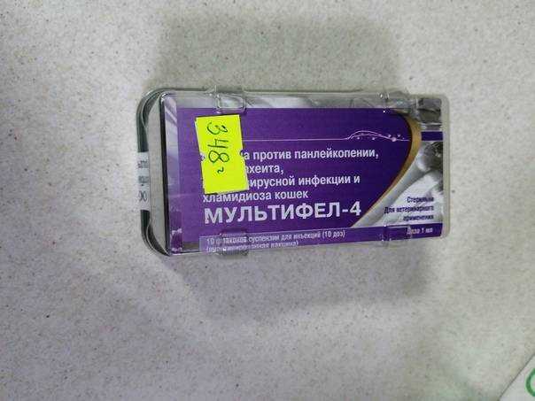 Мультифел 4 ревакцинация для взрослой кошки. — обсуждение в группе "кошки" | птичка.ру