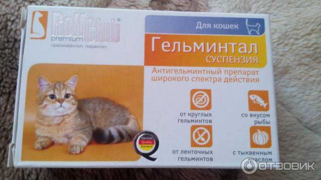 Инструкция по применению таблеток «цестал» для выведения глистов у котят и взрослых кошек
