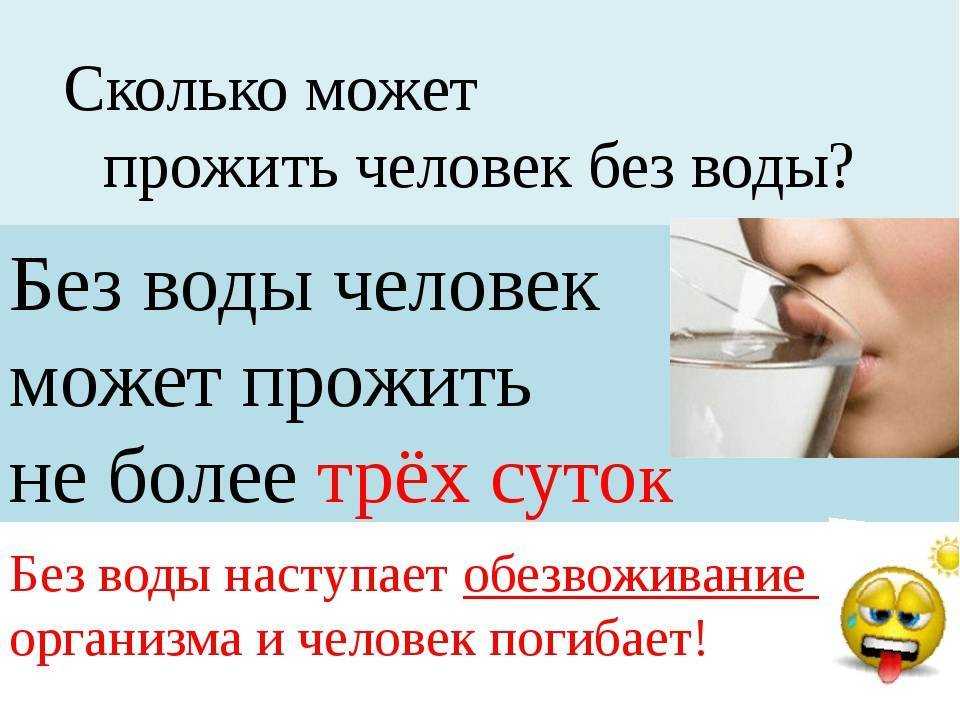 Как откормить кота или кошку: нюансы и рекомендации