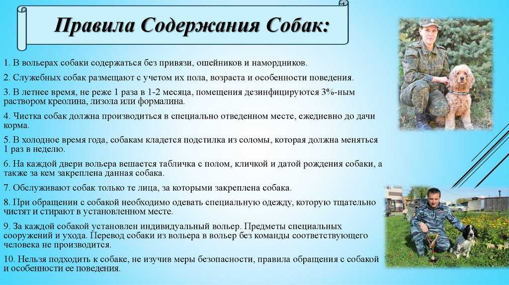 Закон о содержании собак
