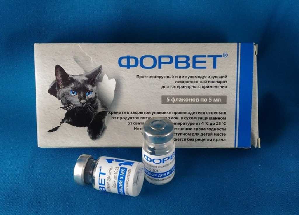 Форвет - инструкция, описание, дозировка - - ветеринарный препарат