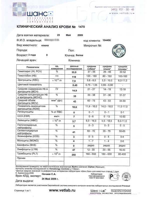 Увеличенная селезенка у кота является симптомом онкологии заражения паразитами инфекционной анемии или болезней печени Спленомагалия может возникнуть и при травматических повреждениях