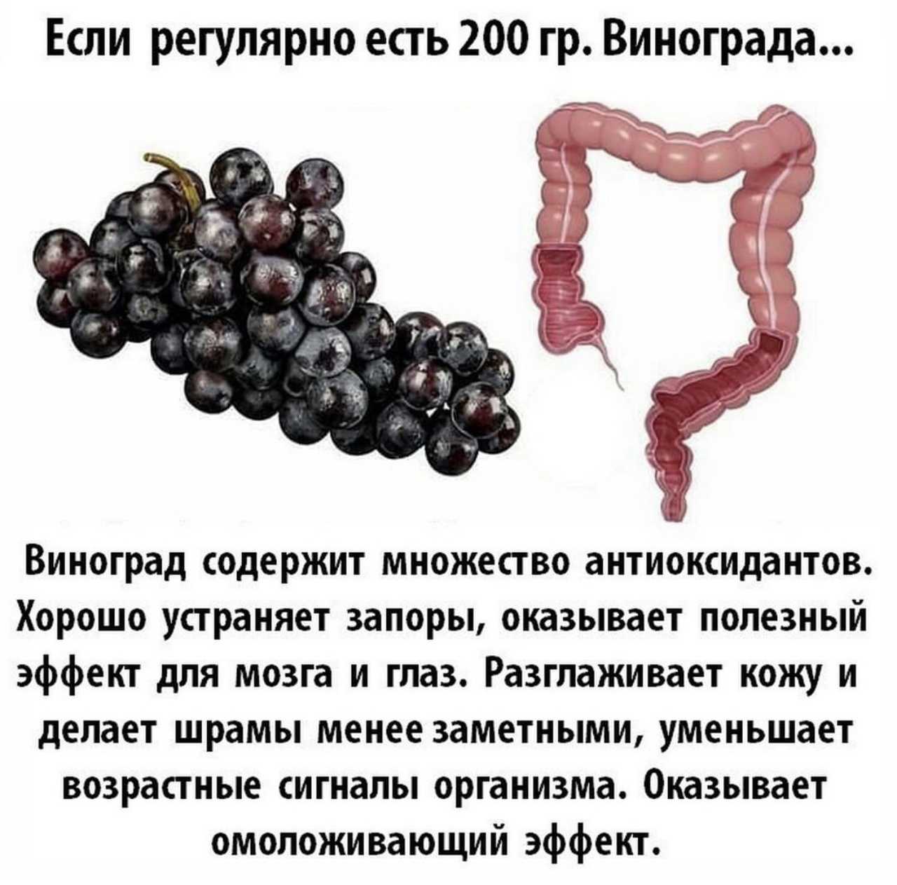 Почему собакам нельзя виноград?
