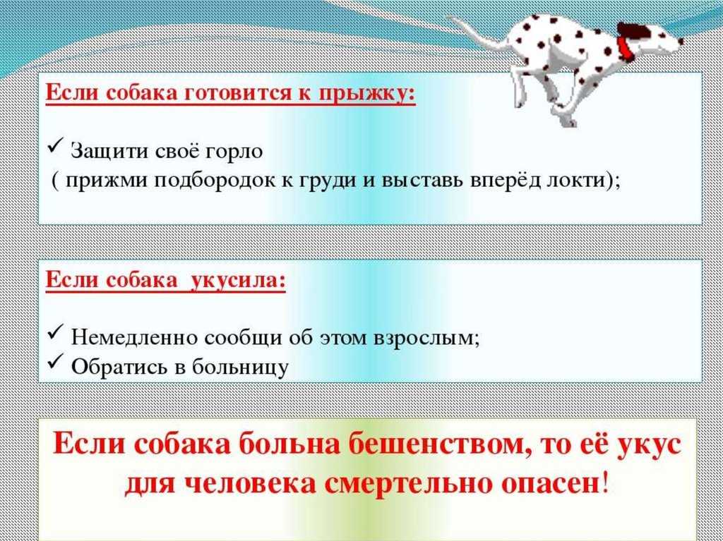 Как отучить собаку кусаться. почему щенок кусает хозяина