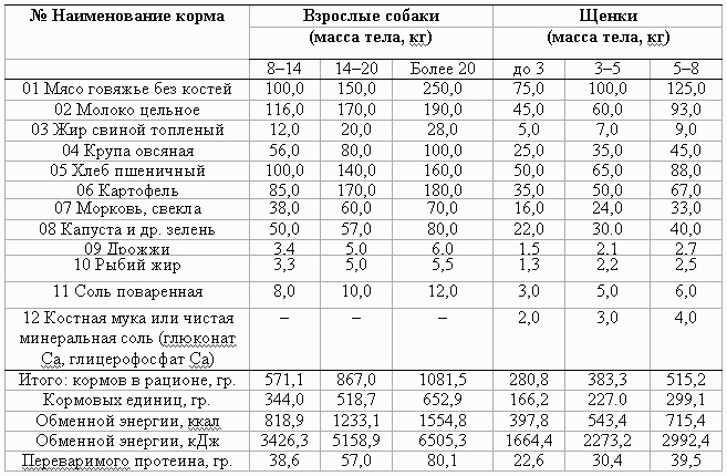 Можно ли собакам курицу или индейку? | блог ветклиники "беланта"