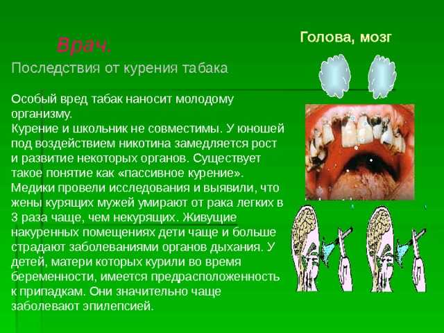 Вреден ли табачный дым для животного?