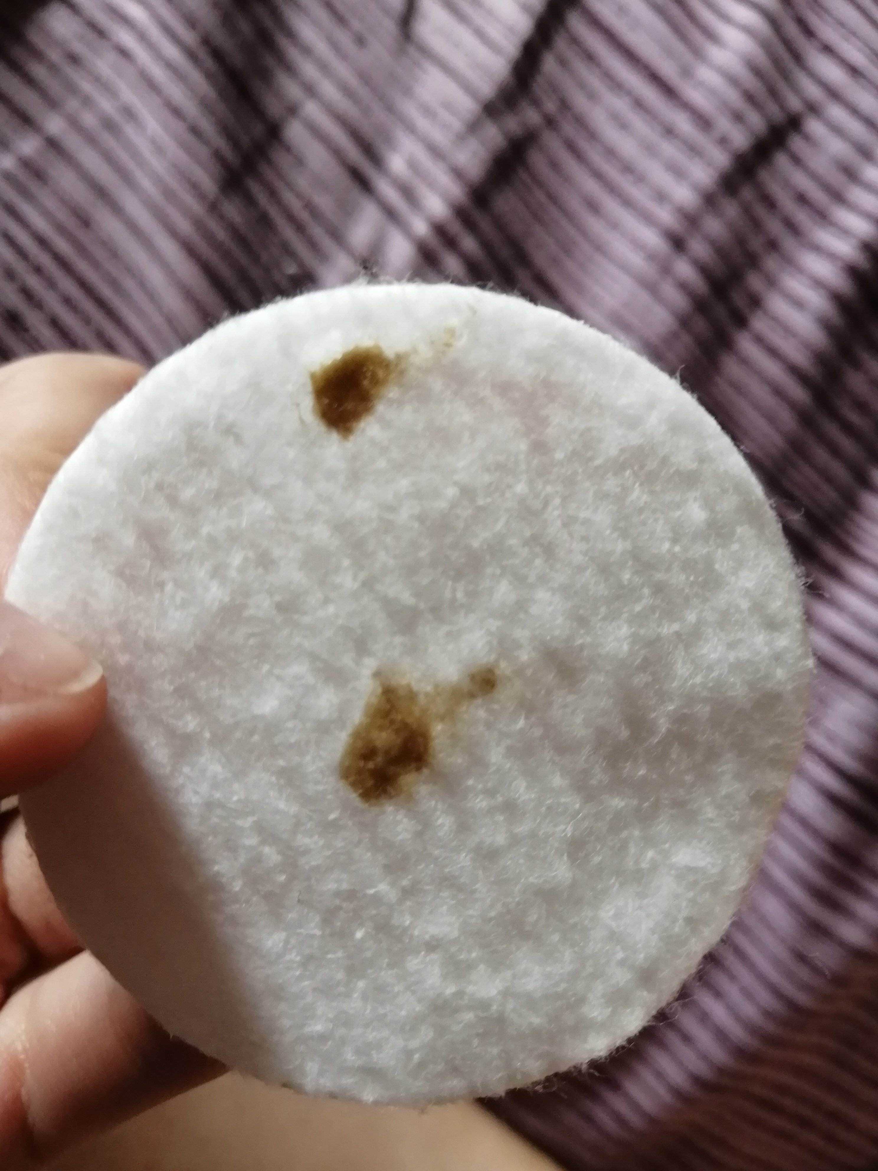Кот какает с кровью
