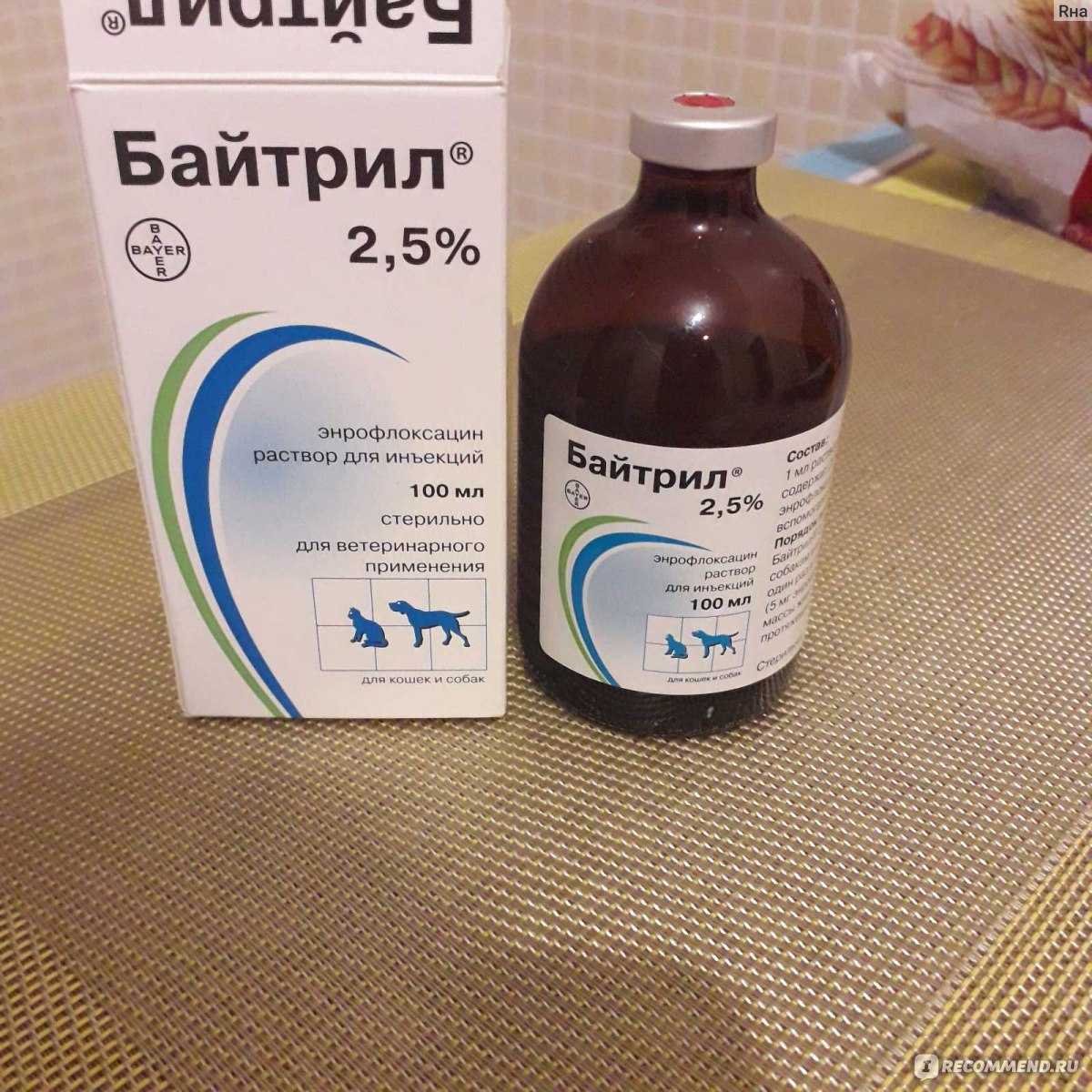 Байтрил для животных (baytril) | инструкция по применению байтрила в ветеринарии