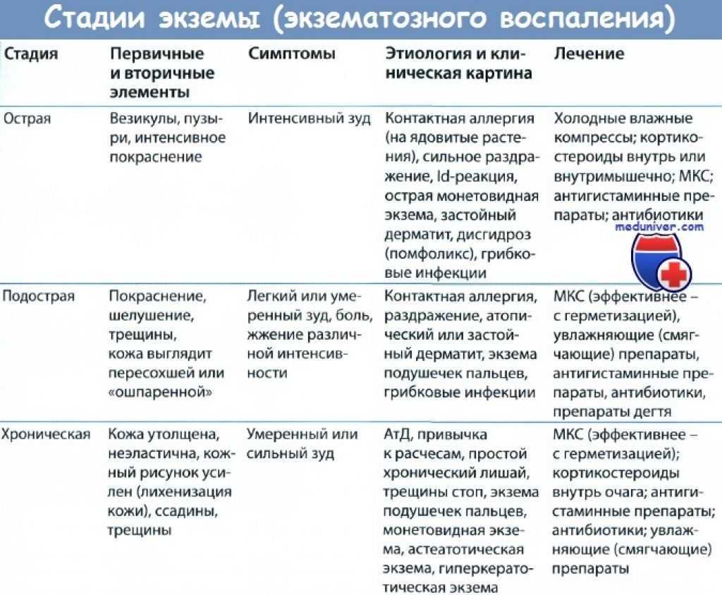 Экзема у кошки: как лечить, мокнущая экзема, симптомы, передается ли человеку