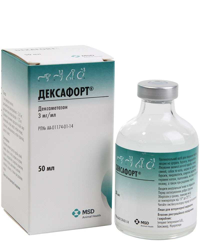 «дексафорт» для собак и кошек: инструкция по применению, дозировка и побочные эффекты
