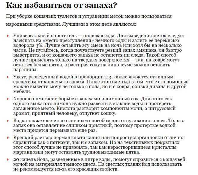 Кот метит территорию почему и что делать какие средства помогут отучить оставлять метки дома как вывести запах мочи в квартире 11 советов