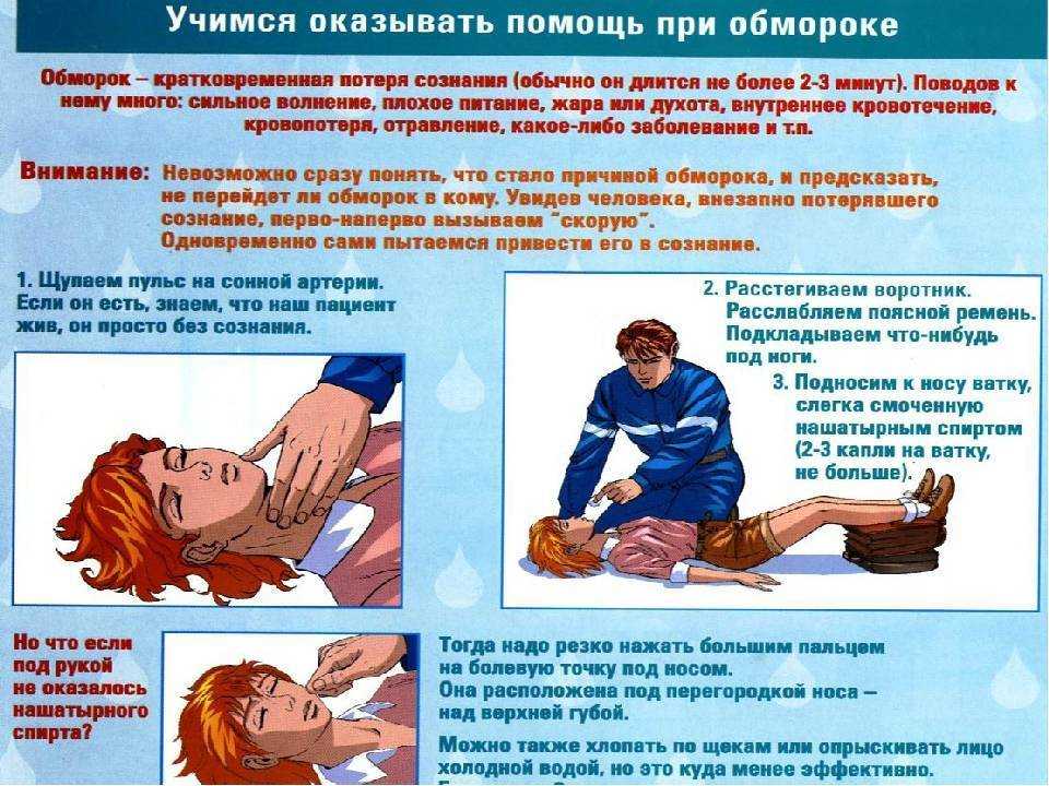 Почему собака теряет сознание: причины обмороков