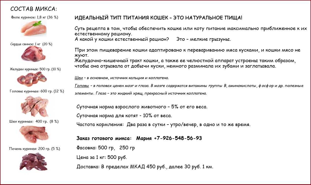 Как кормить истощённую кошку