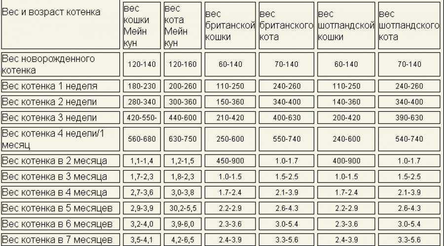 Сколько должна весить кошка? (с таблицей и изображениями)
