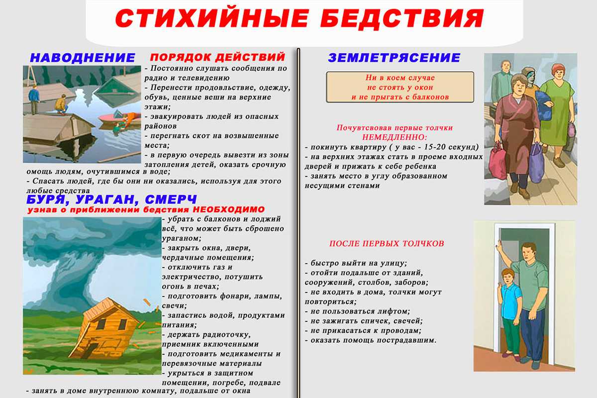 Дихлофос от блох как действует, эффективность, правильная обработка квартиры