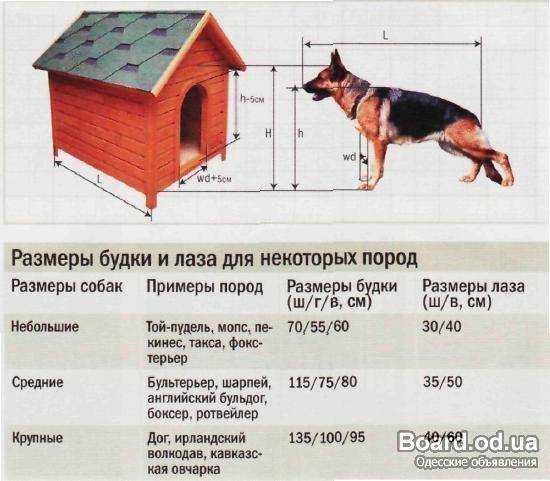 Как построить вольер для немецкой овчарки своими руками, чертежи и размеры