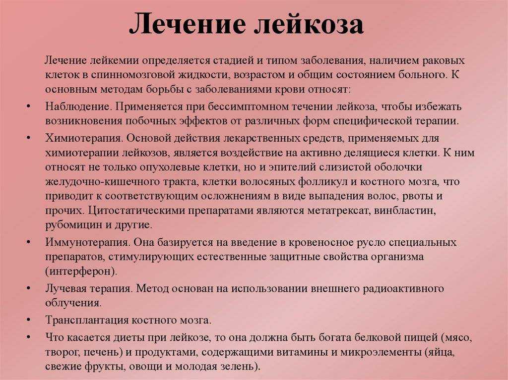 Лечение лейкоза у собак