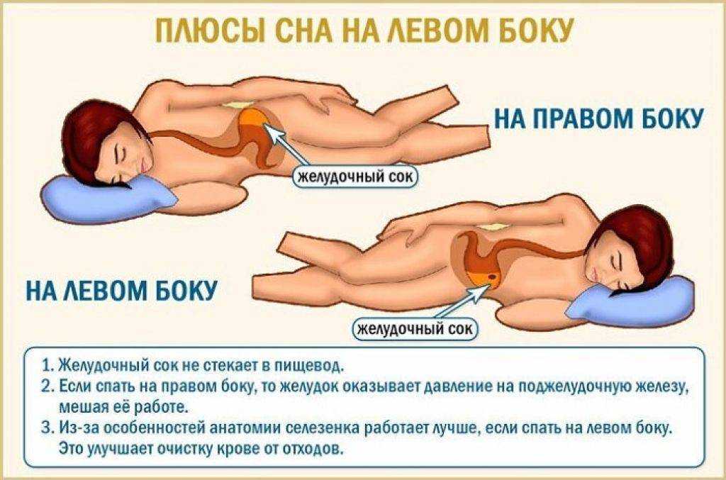 Как заставить котенка спать всю ночь?