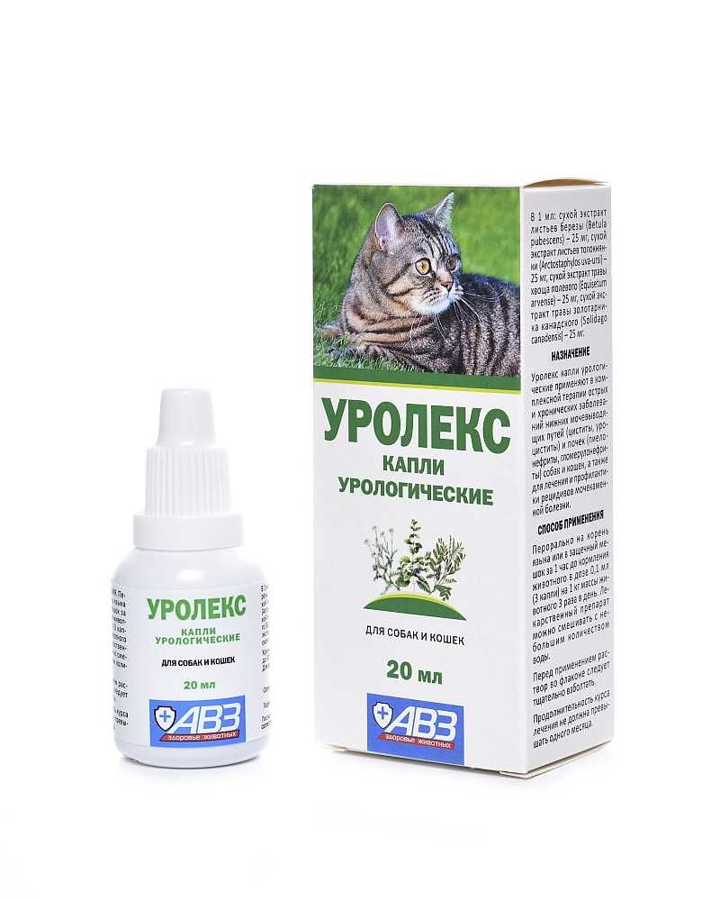 Уролекс для кошек сколько дней давать