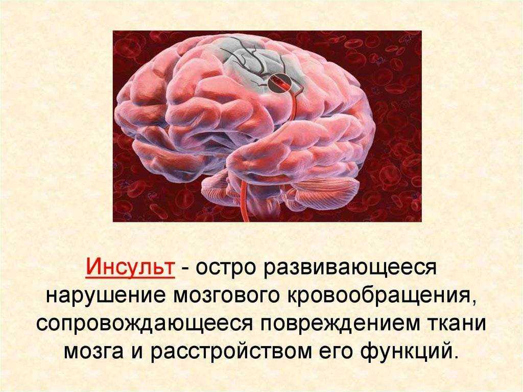 Паралич у кошек: причины развития, лечение и восстановление | звери дома