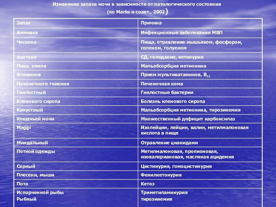 Интоксикация у кошек из-за мочи