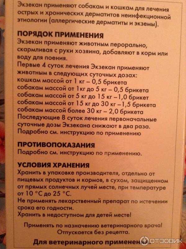 Экзекан для кошек: инструкция по применению, дозировка, свойства и особенности лечения