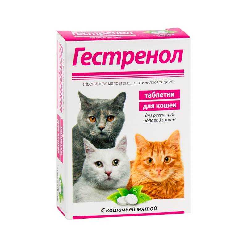 Топ-10 лучших контрацептивов для кошек: капли, таблетки, уколы в рейтинге 2021 года