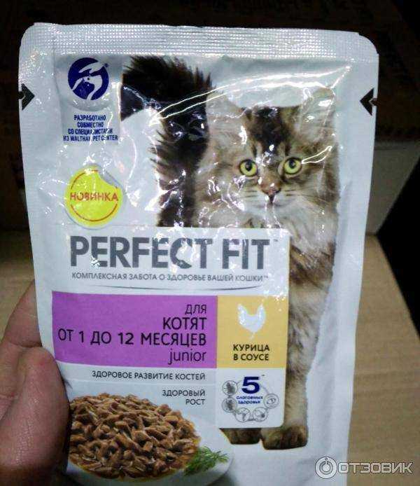 Обзор корма для кошек perfect fit
