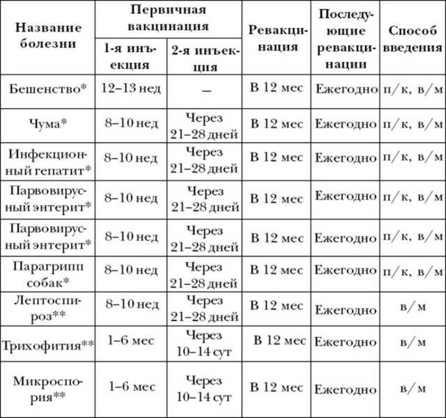 За сколько дней до прививки давать глистогонное собаке?