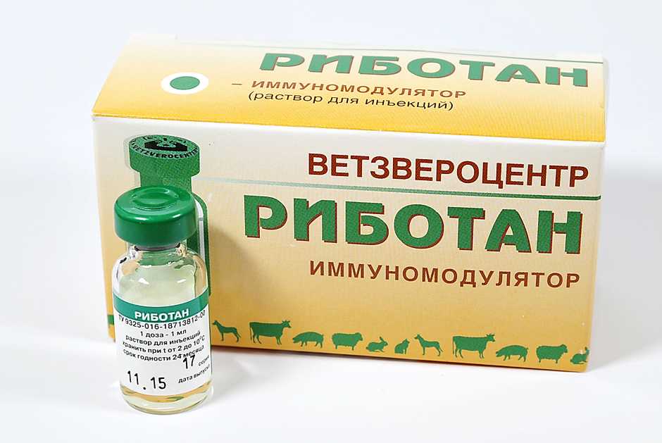 Риботан для кошек — инструкция по применению
