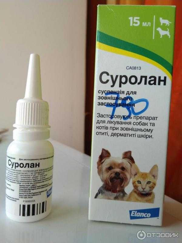 Лечение отита у собак и щенков в домашних условиях: схемы, ушные препараты и народные средства. что делать и как использовать мази и уколы?