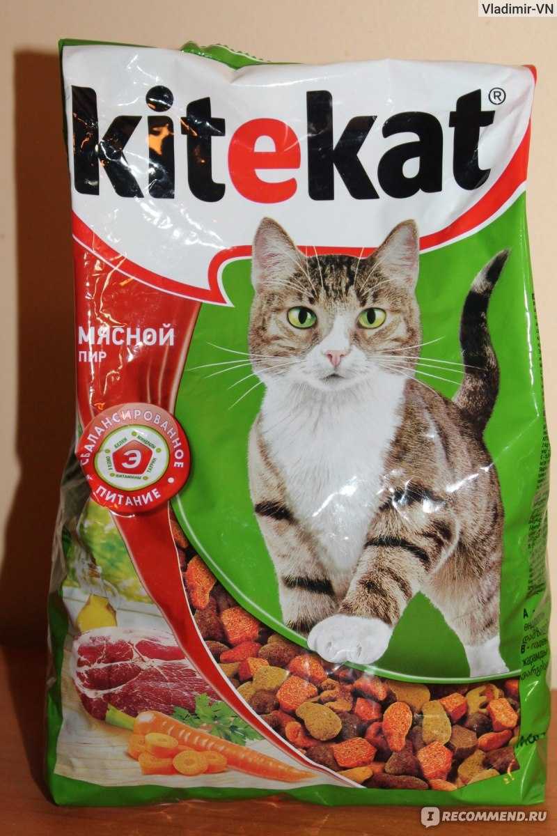 Kitekat («китикет»): плюсы и минусы корма для кошек, его состав, виды, отзывы о «китекет» ветеринаров и владельцев животных
