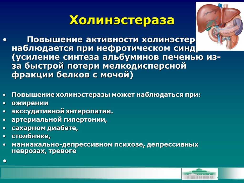 Причины повышенного лдг у собаки | ваши питомцы