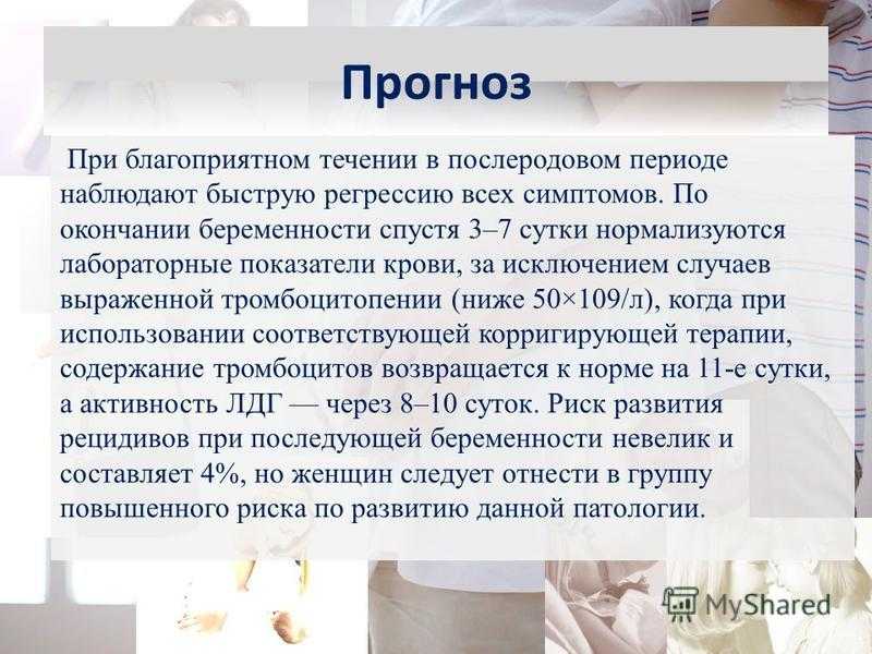Эклампсия у кошек после родов: симптомы и помощь