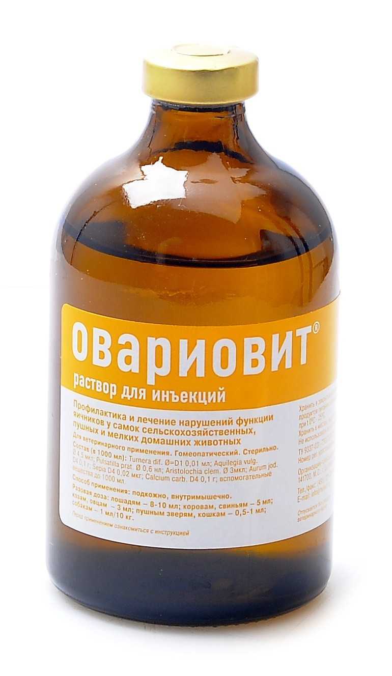 Овариовит для собак: инструкция по применению таблеток с дозировкой. поможет ли препарат при ложной беременности, опухоли молочной железы или частых течках?