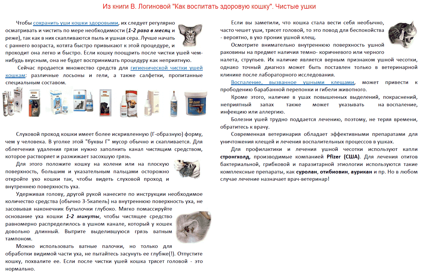 Кот расчесывает ухо: причины и методы борьбы