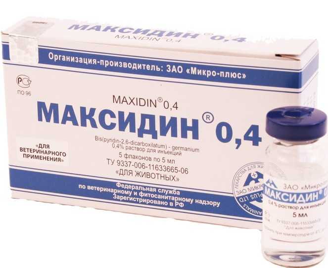 Максидин для кошек