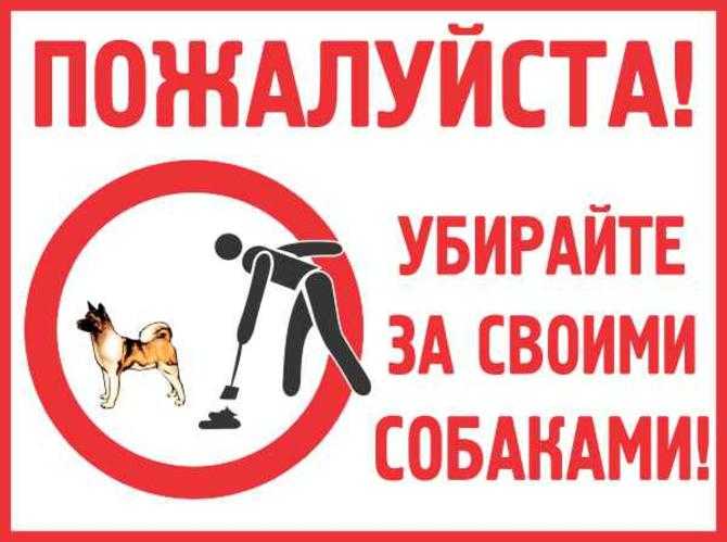 6 простых советов, как убрать за собакой на улице