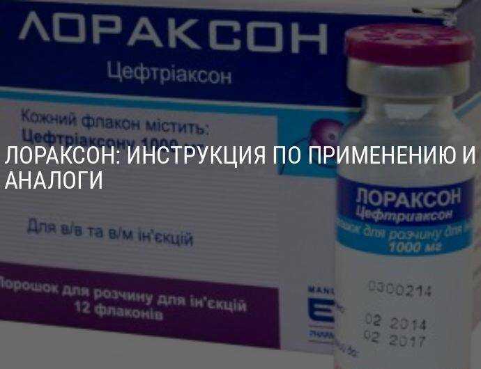 Антибиотики для кошек | мяумур мир | fandom