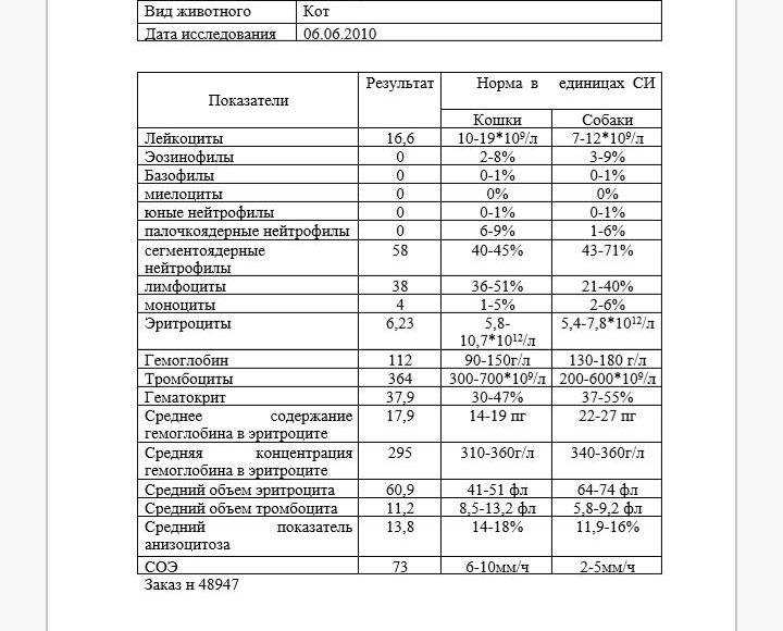 ᐉ как собрать мочу у кота при цистите - netmedicine.ru